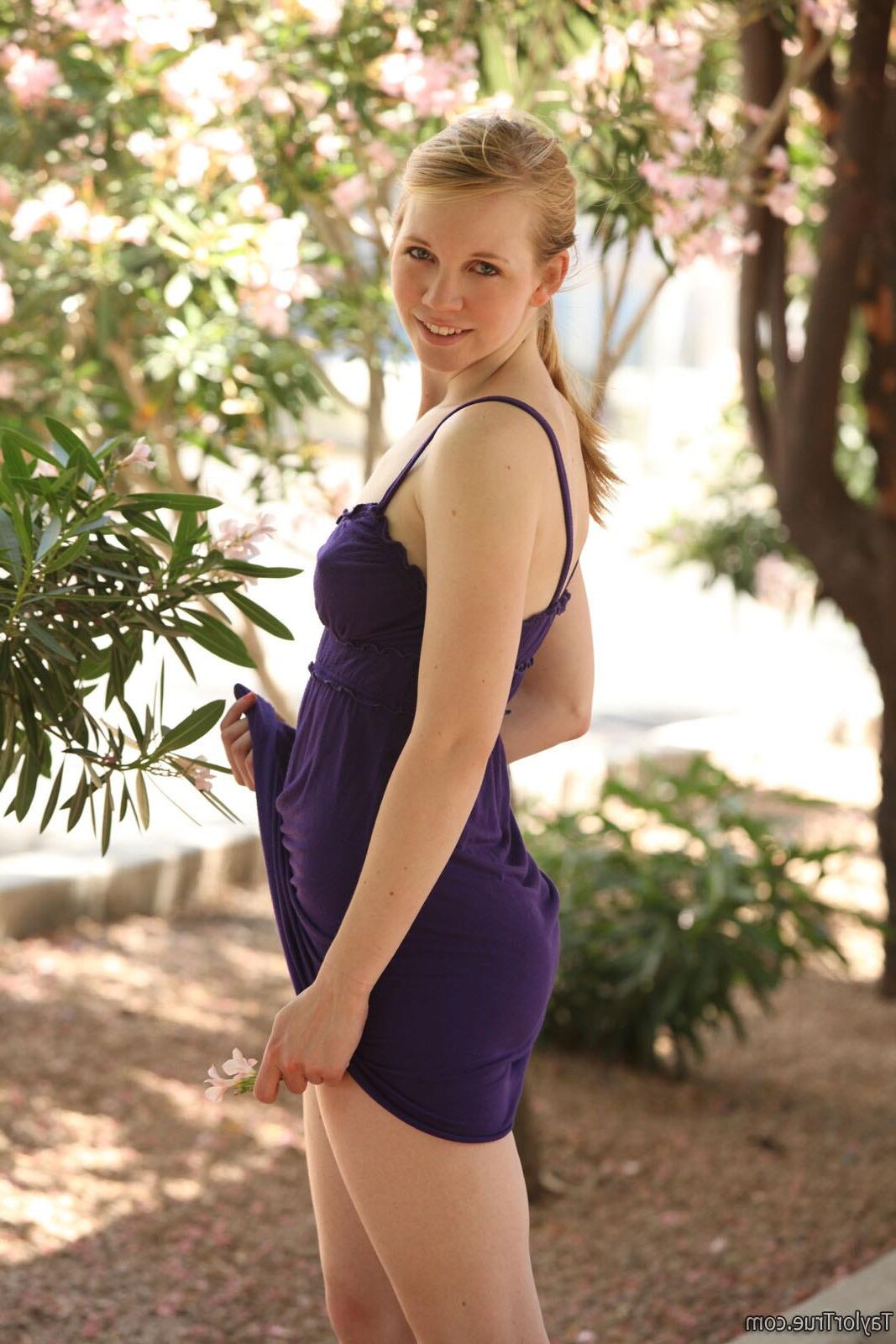 TaylorTrue TAYLOR Garden party