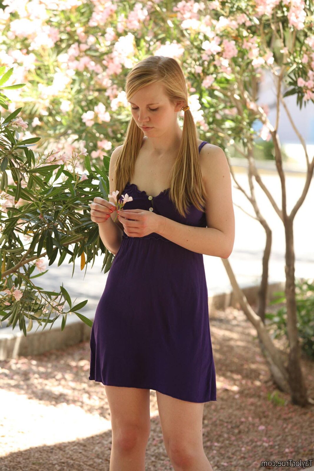 TaylorTrue TAYLOR Garden party