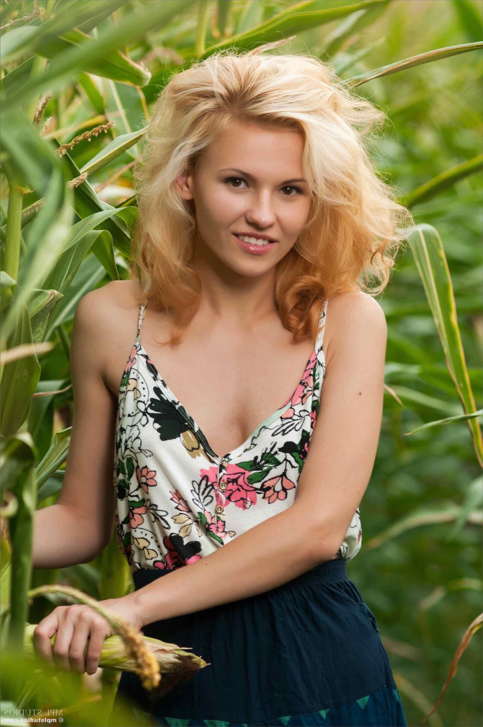 MPLStudios MINA Cornfield