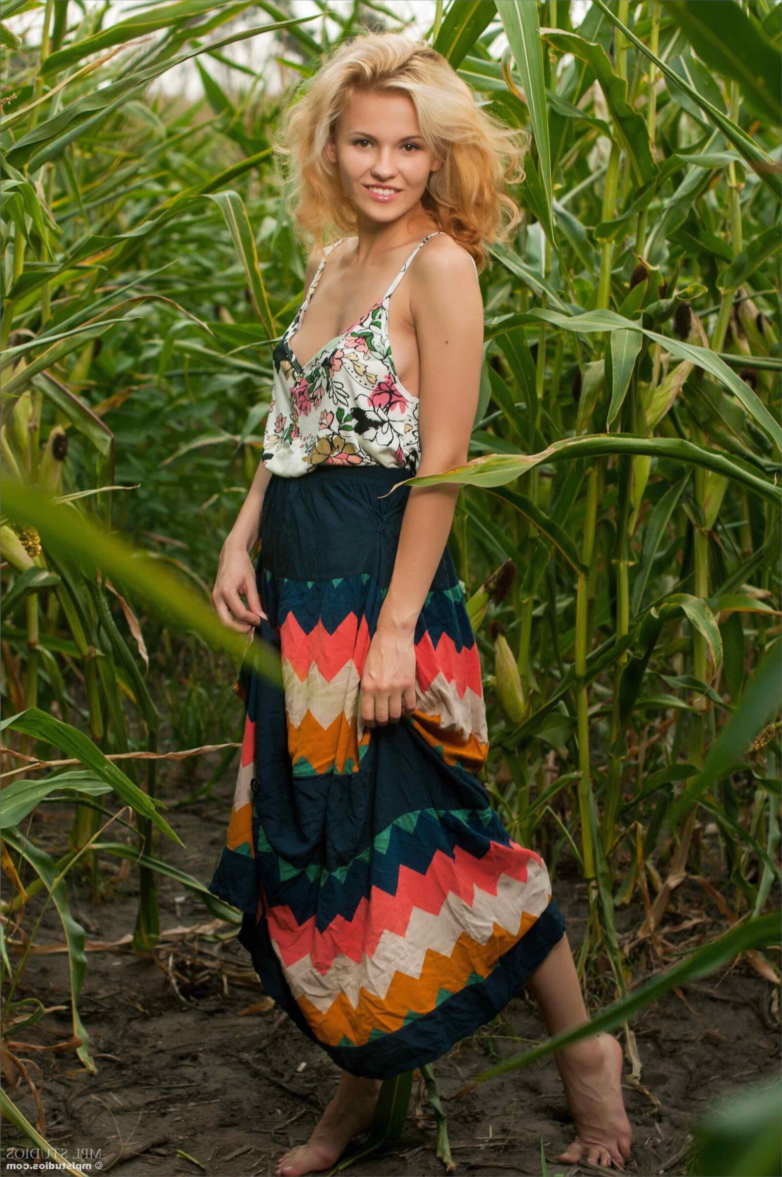 MPLStudios MINA Cornfield