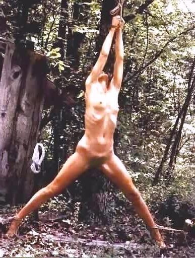 The place in the woods / 