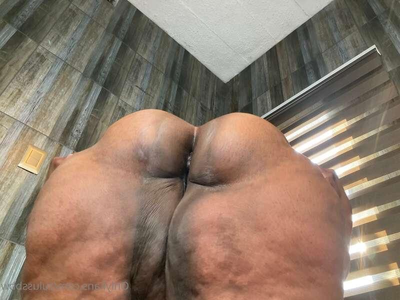 BBW SSBBW Collection 