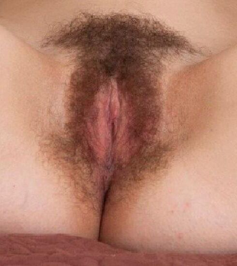 Peludo