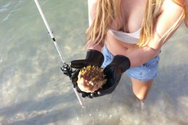 Something Fishy Here