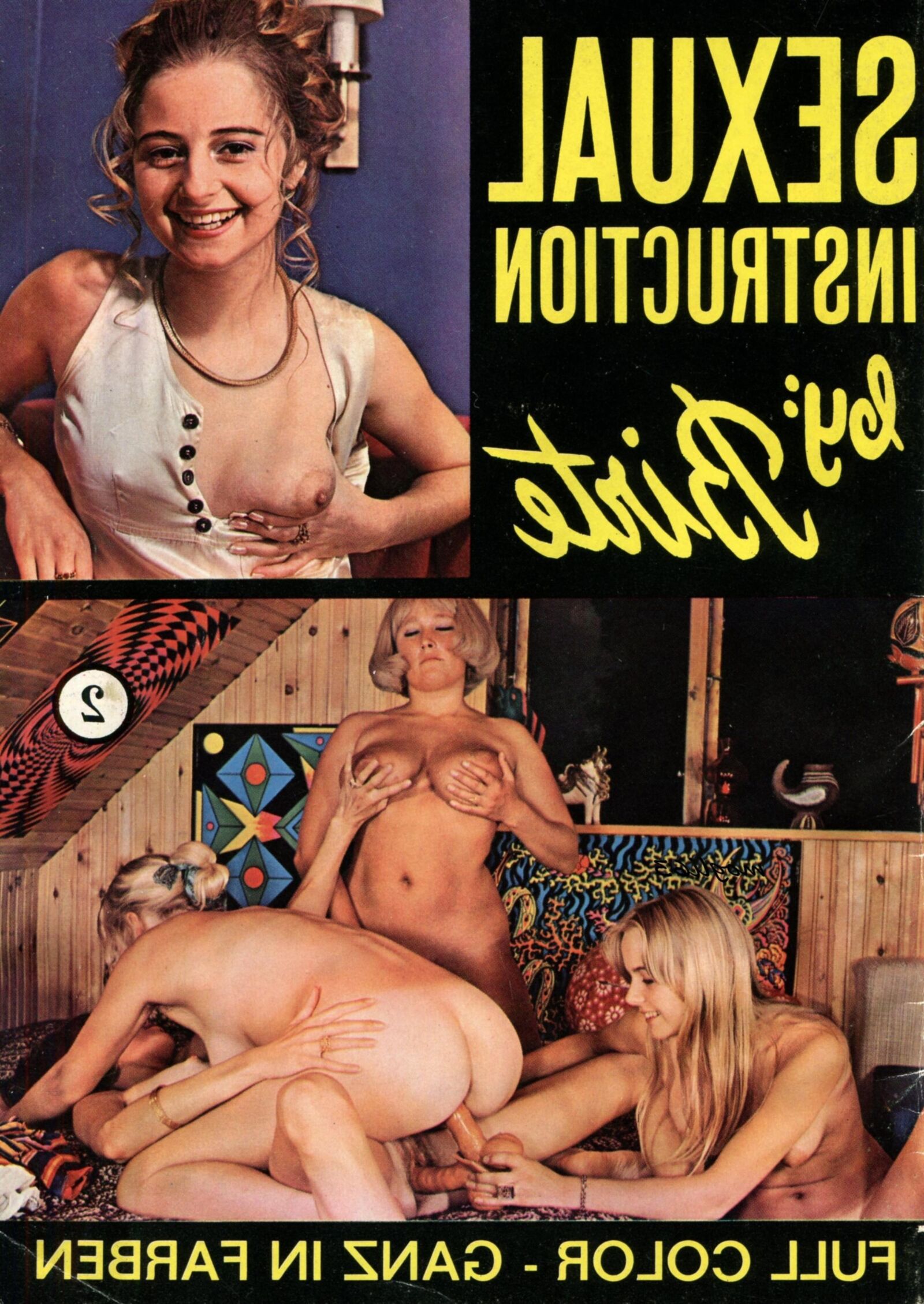 Instrução sexual