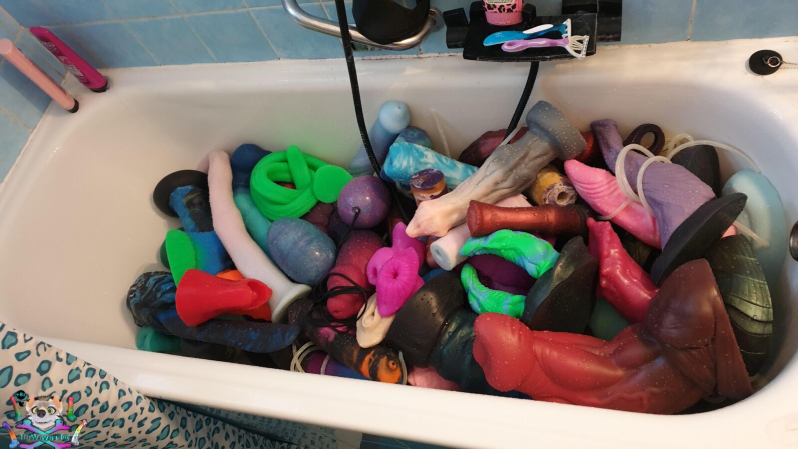 Meine Sex Toy Sammlung