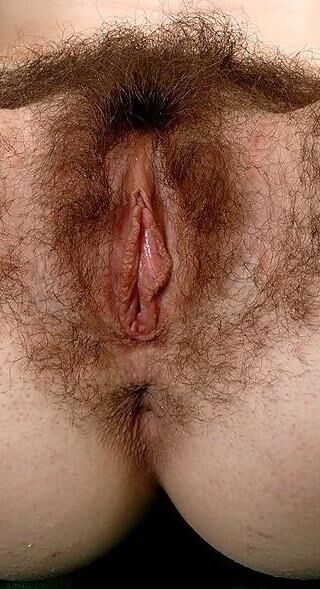 Peludo