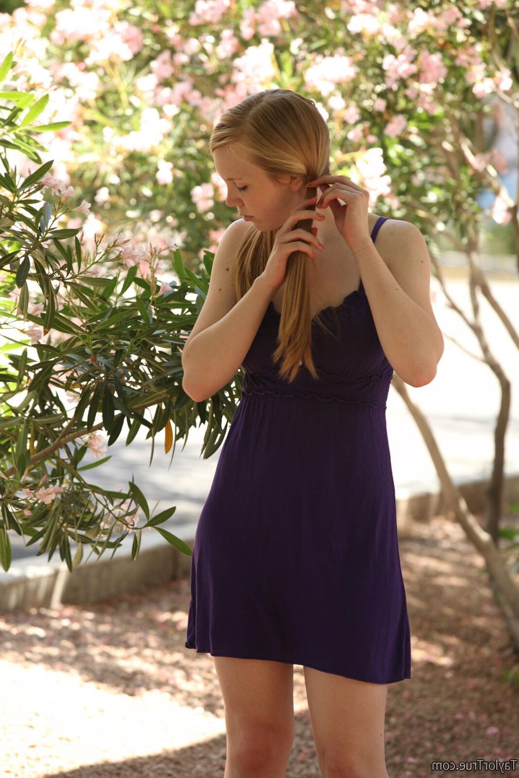 TaylorTrue TAYLOR Garden party