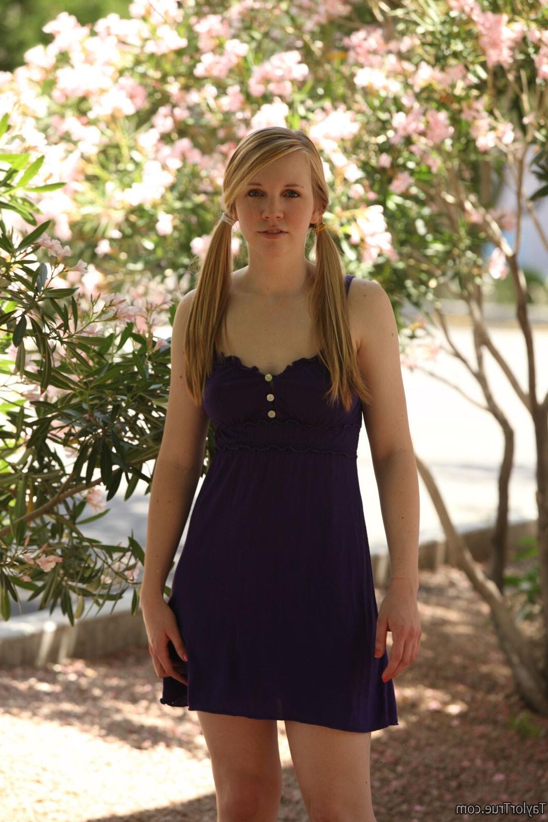 TaylorTrue TAYLOR Garden party