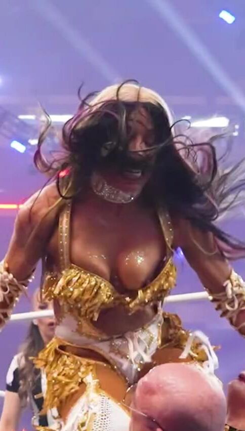 Wrestling Divas Mix 