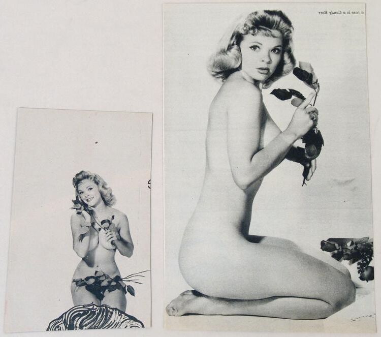 Altmodische Pinups