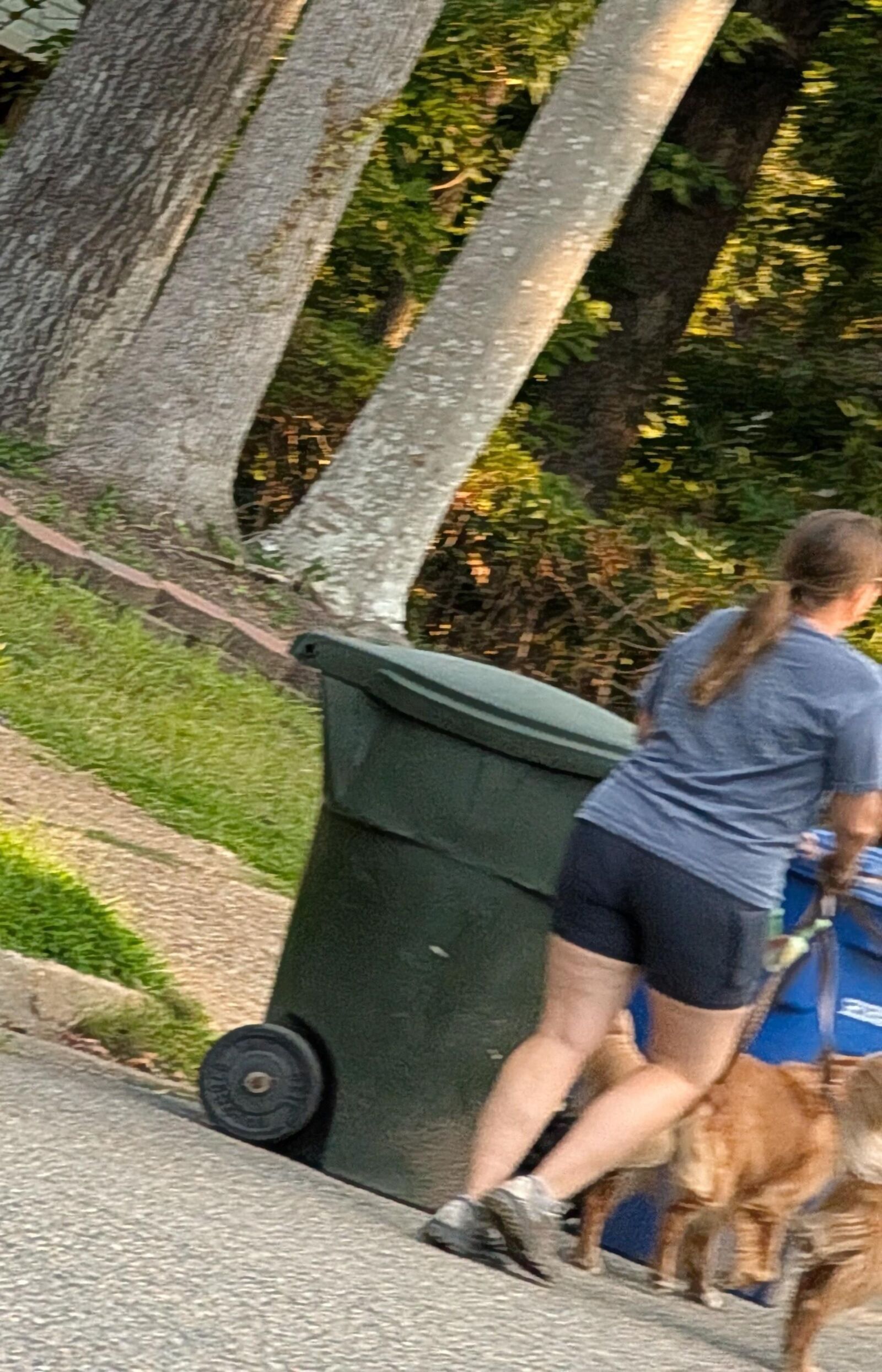 Voyeur 