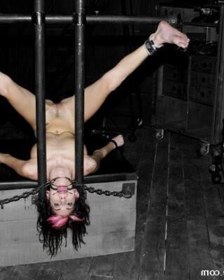 Passion Rayne  Bondage Model