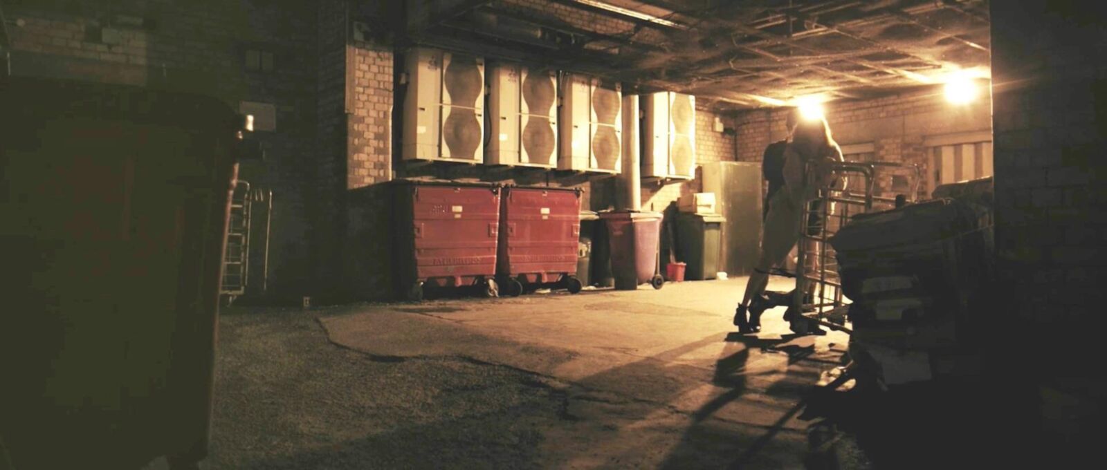 Stills 