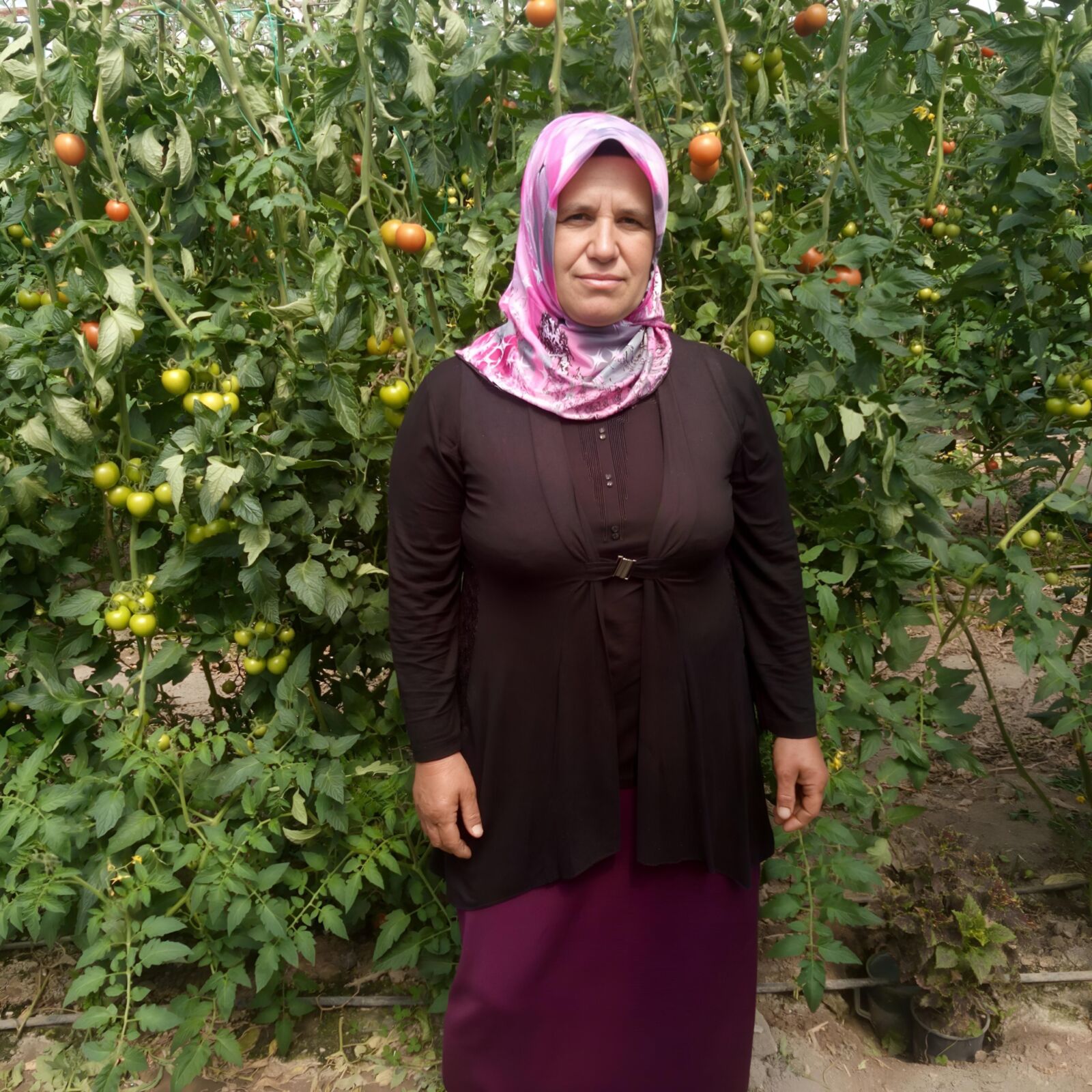 Hijab sexy turco