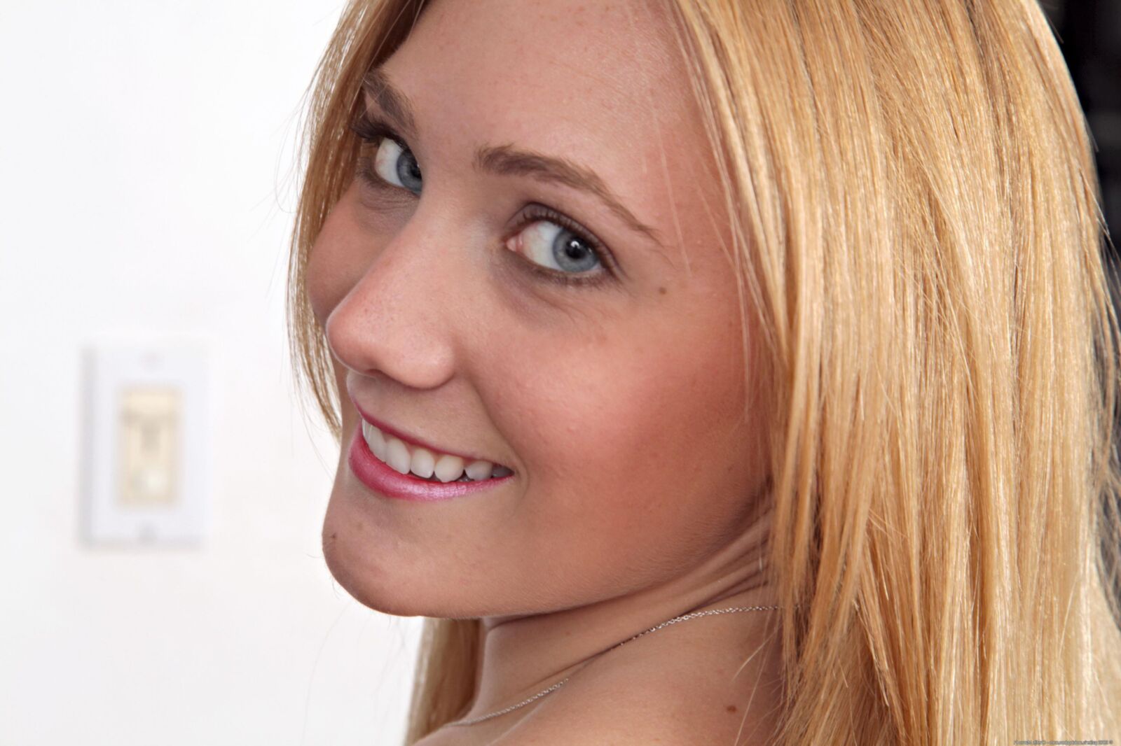 Colección AJ Applegate
