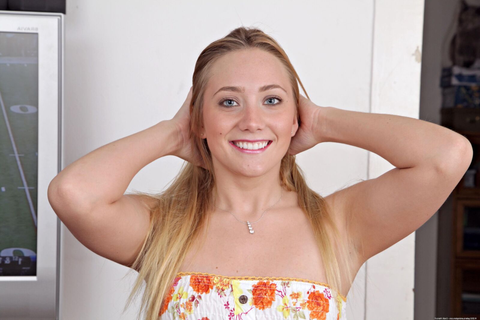 Colección AJ Applegate