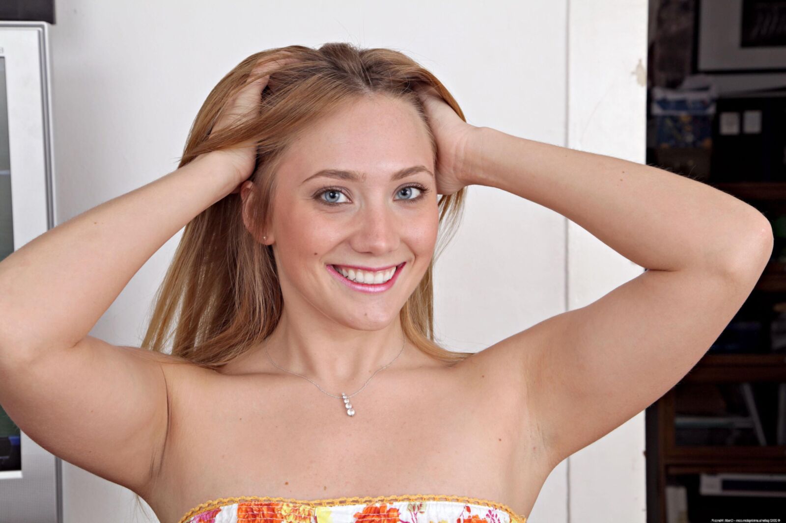 Colección AJ Applegate