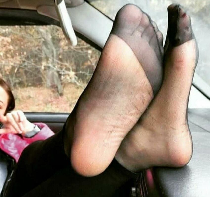 pies iraníes