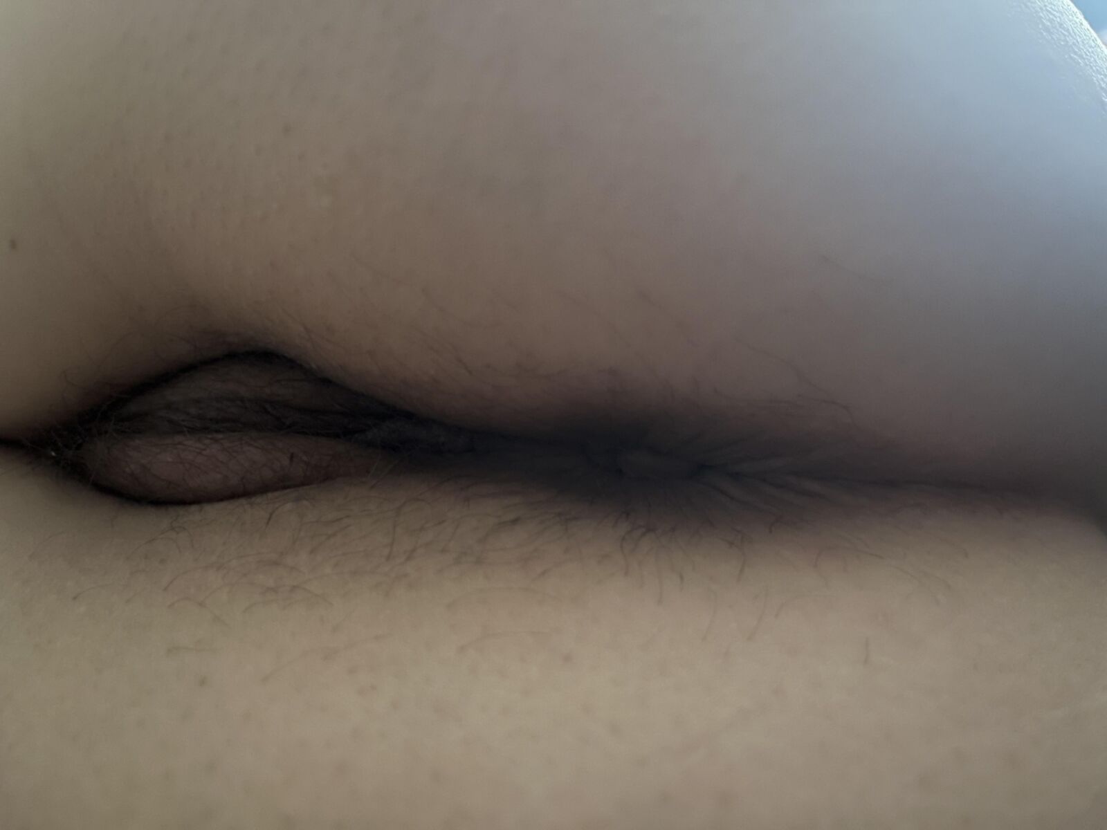 Nudes Fresh Housewife (sept)