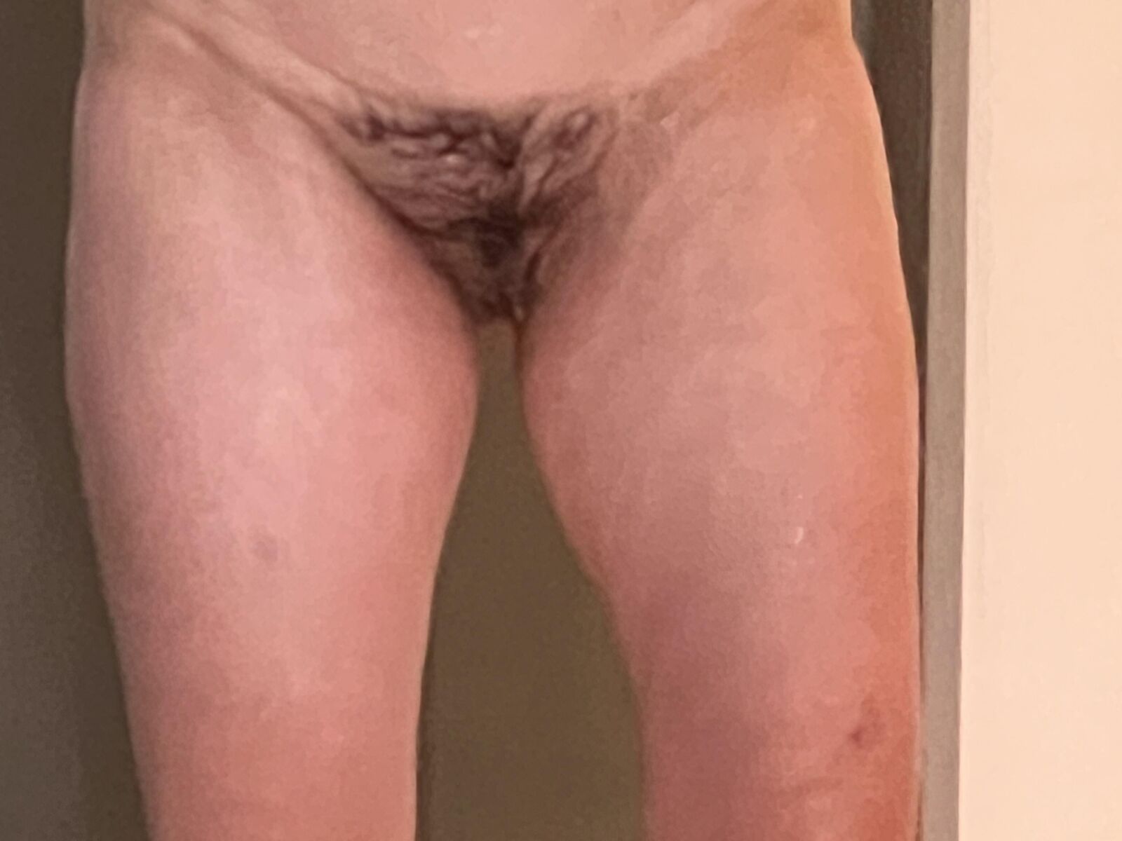 Fotze meiner frau