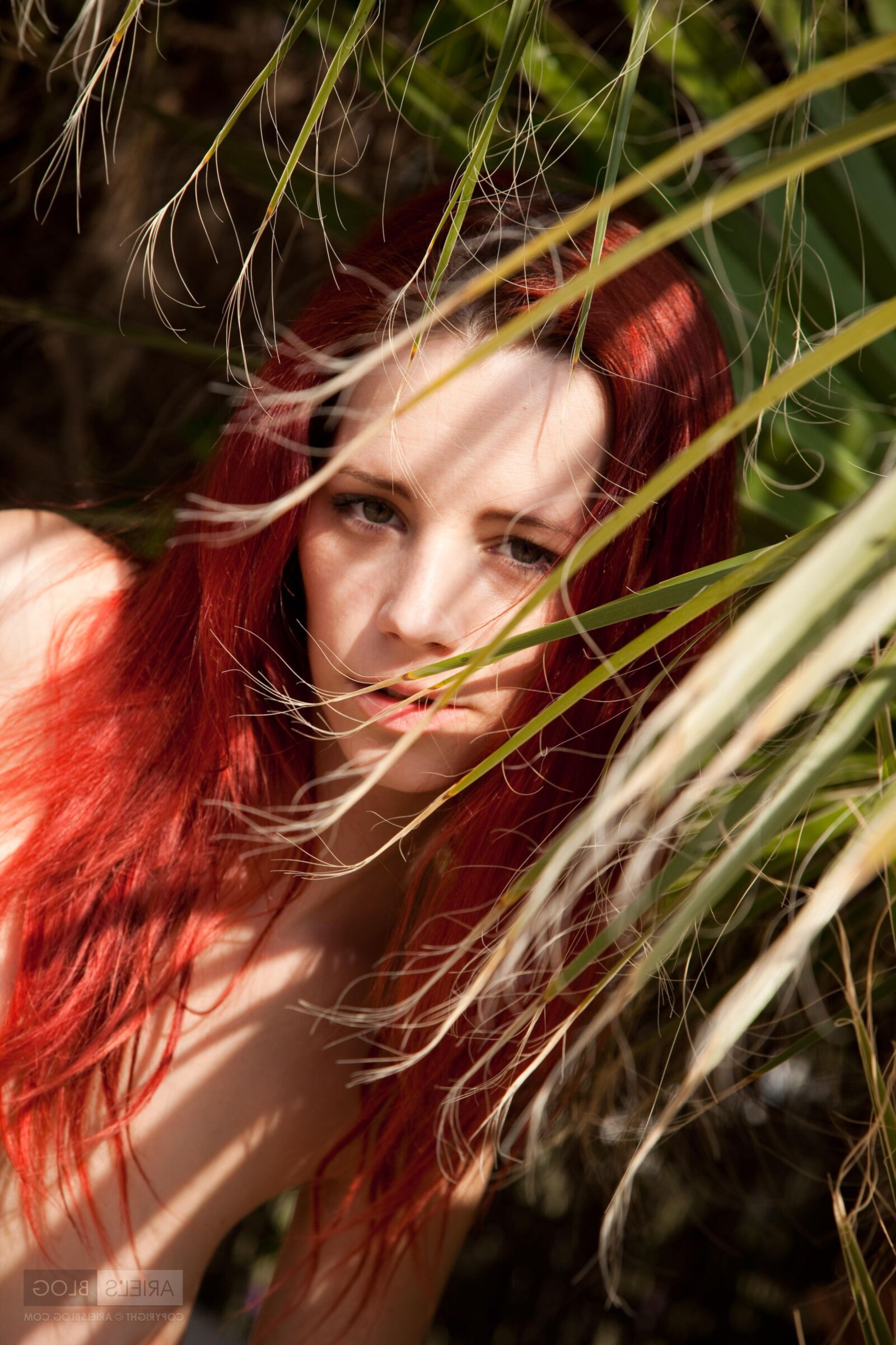 Encantadores pelirrojos Ariel Hot Palm