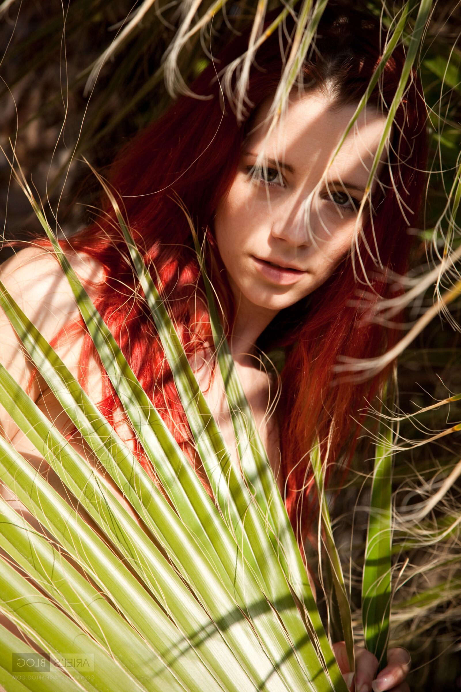 Encantadores pelirrojos Ariel Hot Palm