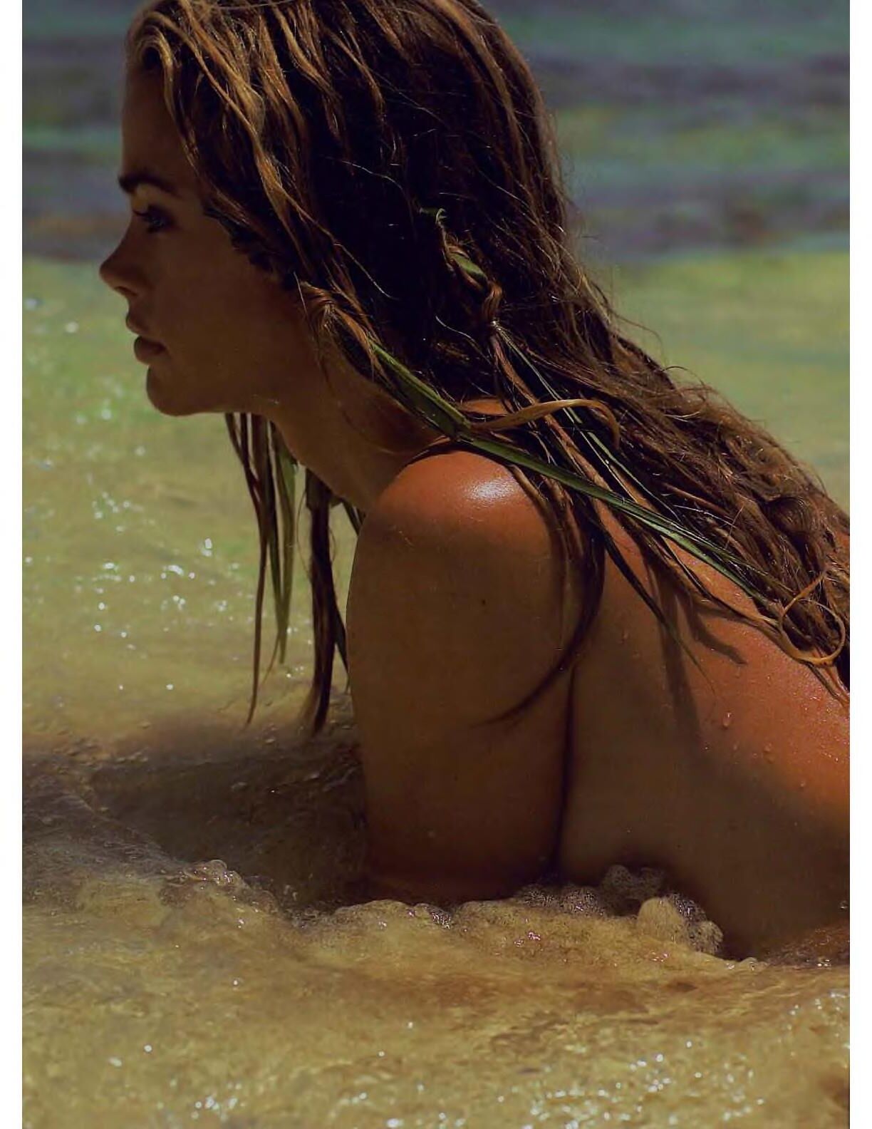 Playboy Denise Richards